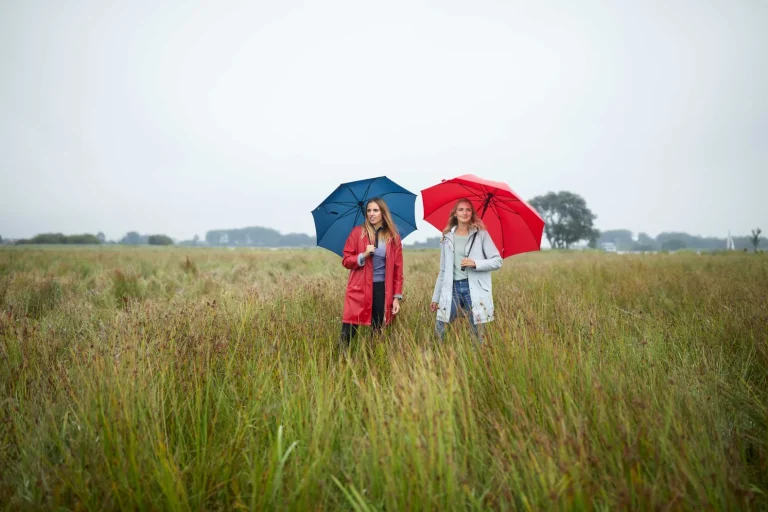 Sfeerbeeld van natuurgebied in de buurt van Waterherberg it Beaken