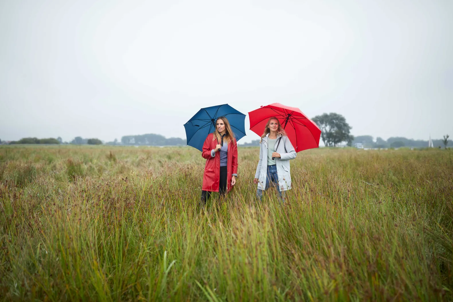 Sfeerbeeld van natuurgebied in de buurt van Waterherberg it Beaken